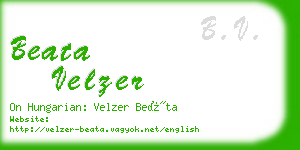 beata velzer business card